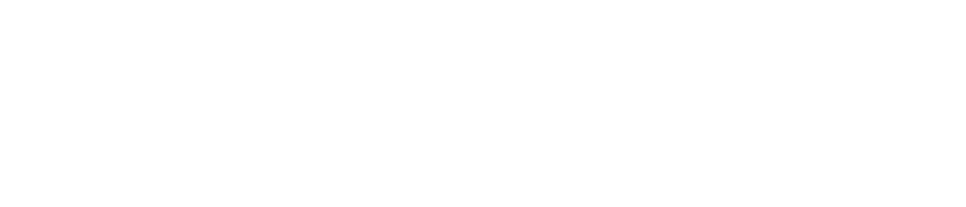 Falcon Agency